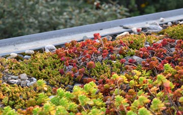 the cost of Robinhood End green roof installation