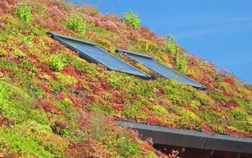 Robinhood End living roof systems